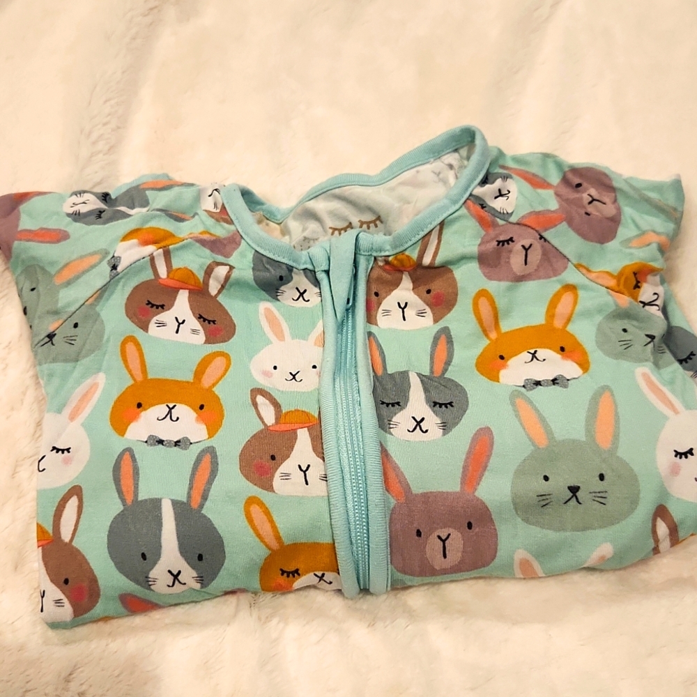 Little Sleepies Bamboo Pajamas Zippy in 12-18 months